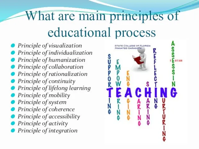 What are main principles of educational process Principle of visualization