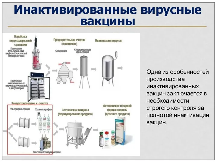 Инактивированные вирусные вакцины Одна из особенностей производства инактивированных вакцин заключается