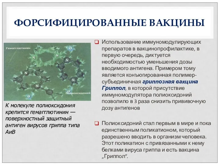 ФОРСИФИЦИРОВАННЫЕ ВАКЦИНЫ Использование иммуномодулирующих препаратов в вакцинопрофилактике, в первую очередь,