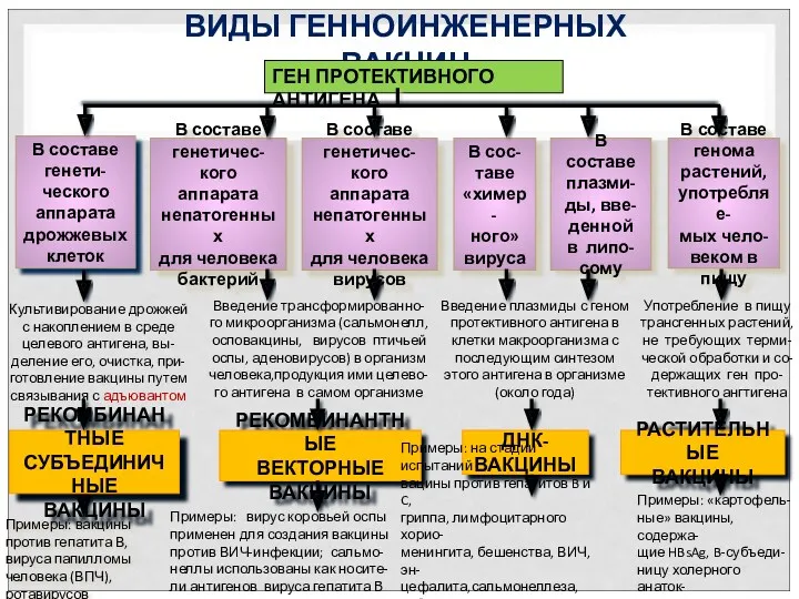 РАСТИТЕЛЬНЫЕ ВАКЦИНЫ ДНК-ВАКЦИНЫ РЕКОМБИНАНТНЫЕ ВЕКТОРНЫЕ ВАКЦИНЫ РЕКОМБИНАНТНЫЕ СУБЪЕДИНИЧНЫЕ ВАКЦИНЫ ВИДЫ