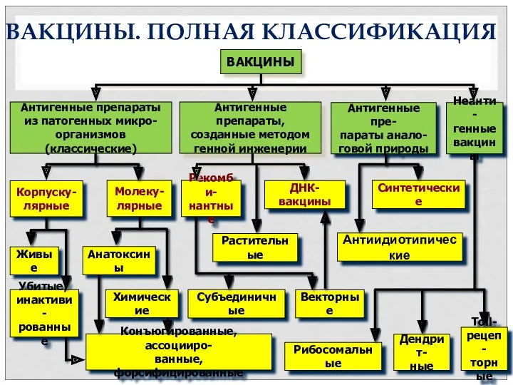 Антигенные пре- параты анало- говой природы ВАКЦИНЫ Антигенные препараты из