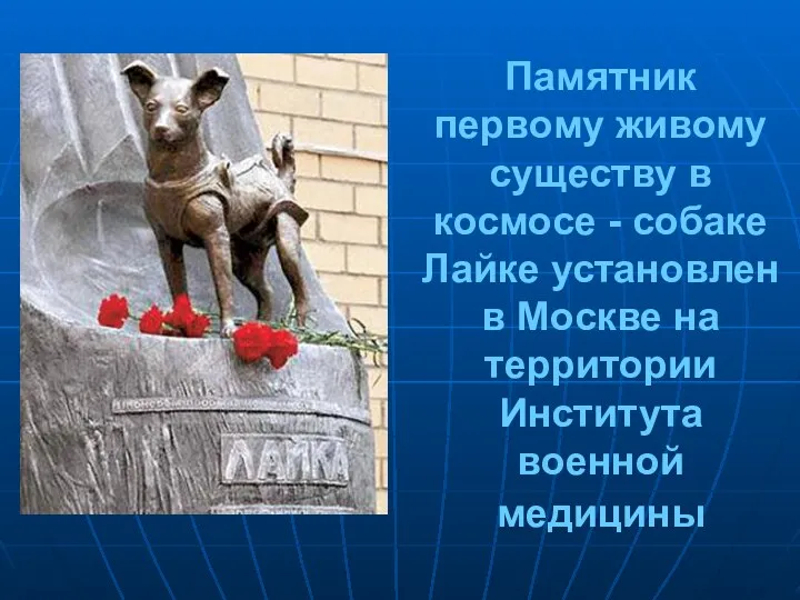 Памятник первому живому существу в космосе - собаке Лайке установлен