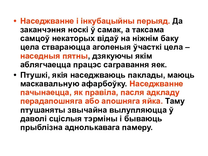 Наседжванне і інкубацыйны перыяд. Да заканчэння носкі ў самак, а таксама самцоў некаторых