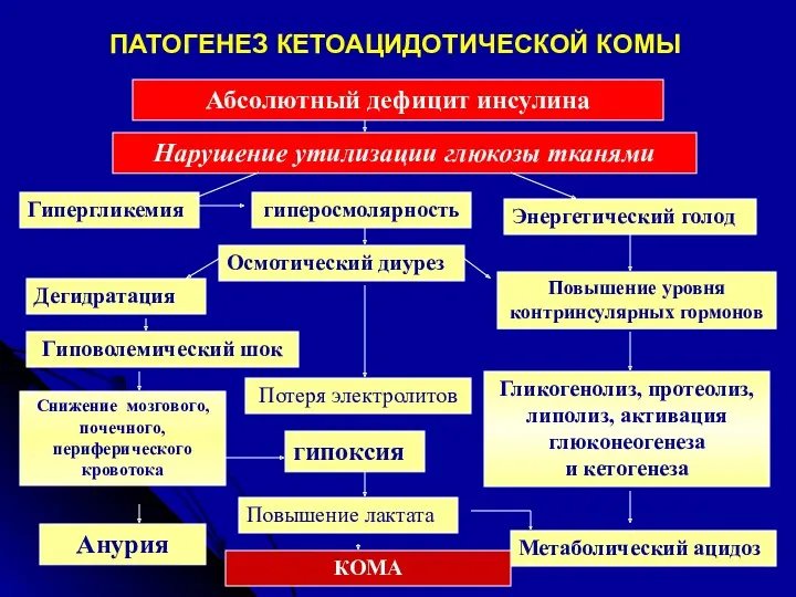 ПАТОГЕНЕЗ КЕТОАЦИДОТИЧЕСКОЙ КОМЫ Абсолютный дефицит инсулина Нарушение утилизации глюкозы тканями