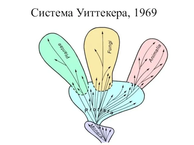 Система Уиттекера, 1969