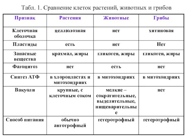 Табл. 1. Сравнение клеток растений, животных и грибов