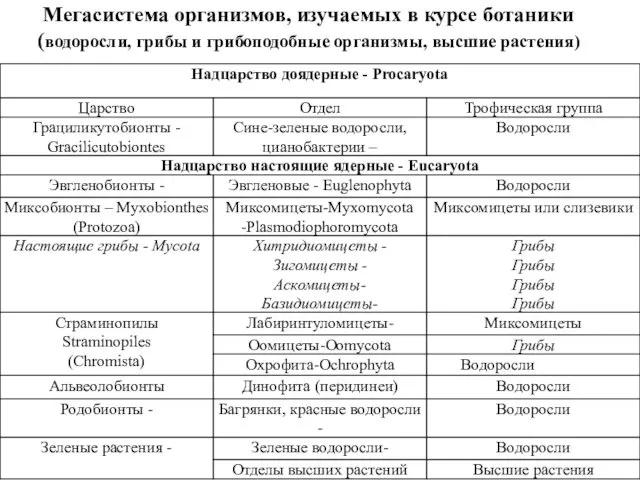 Мегасистема организмов, изучаемых в курсе ботаники (водоросли, грибы и грибоподобные организмы, высшие растения)