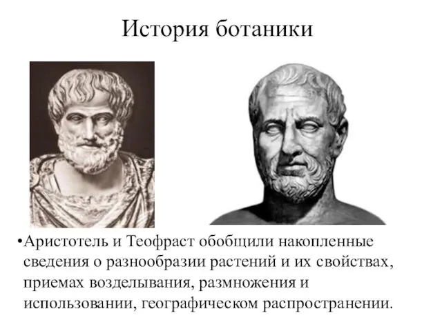 История ботаники Аристотель и Теофраст обобщили накопленные сведения о разнообразии