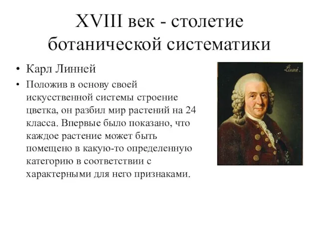 XVIII век - столетие ботанической систематики Карл Линней Положив в