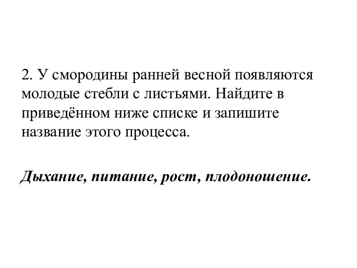 2. У смородины ранней весной появляются молодые стебли с листьями.