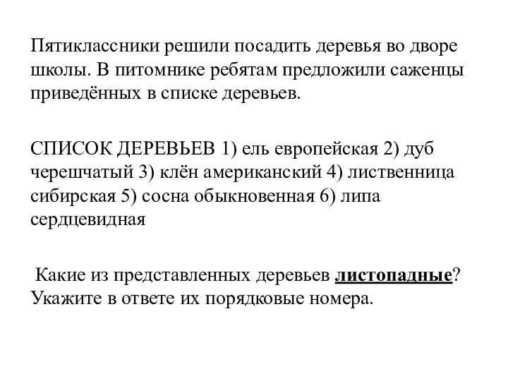 Пятиклассники решили посадить деревья во дворе школы. В питомнике ребятам