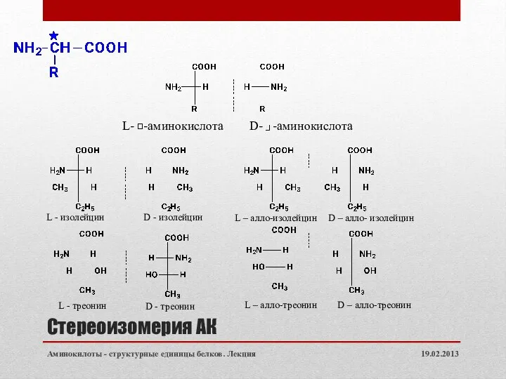 Стереоизомерия АК 19.02.2013 Аминокилоты - структурные единицы белков. Лекция L-