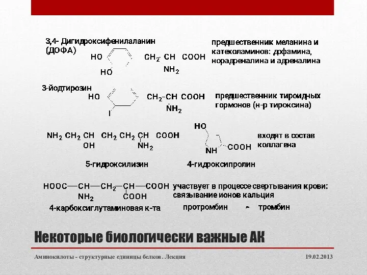 Некоторые биологически важные АК 19.02.2013 Аминокилоты - структурные единицы белков. Лекция