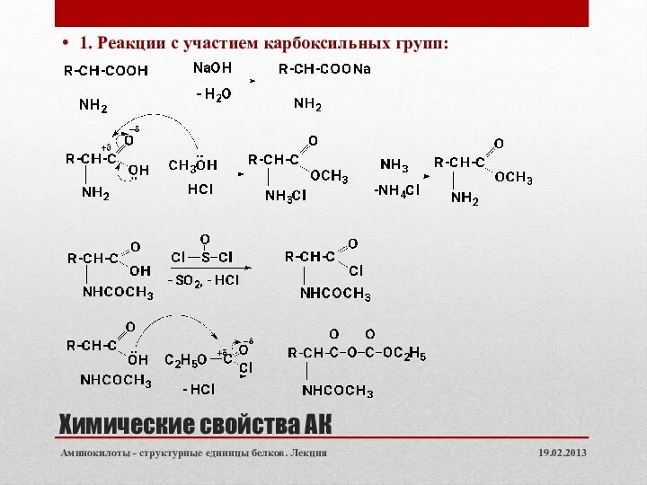 Химические свойства АК 1. Реакции с участием карбоксильных групп: 19.02.2013 Аминокилоты - структурные единицы белков. Лекция