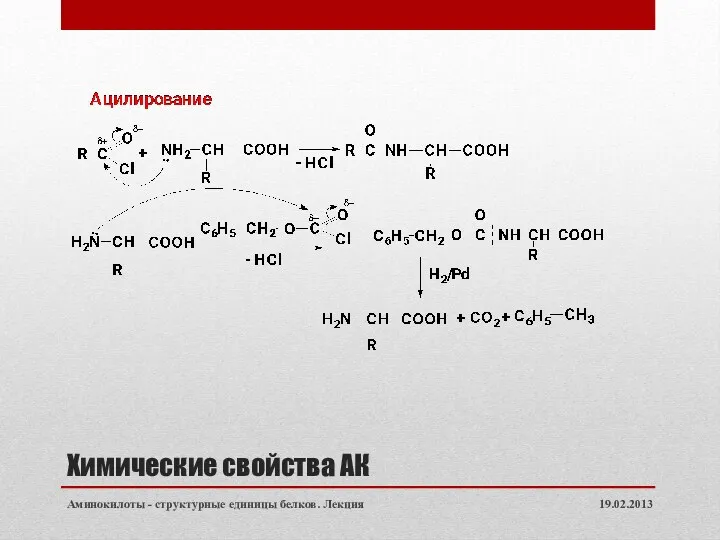 Химические свойства АК 19.02.2013 Аминокилоты - структурные единицы белков. Лекция