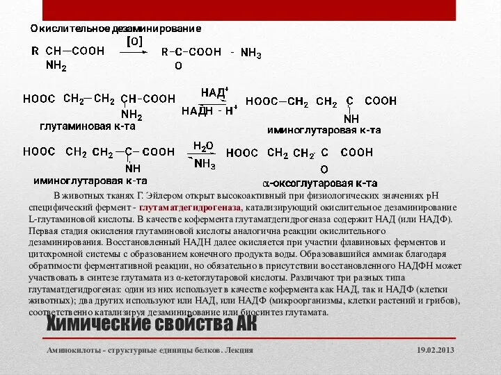 Химические свойства АК 19.02.2013 Аминокилоты - структурные единицы белков. Лекция