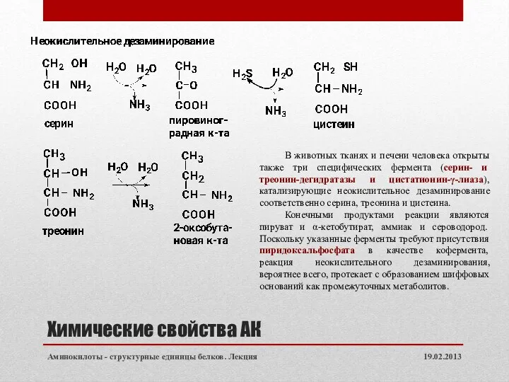 Химические свойства АК 19.02.2013 Аминокилоты - структурные единицы белков. Лекция