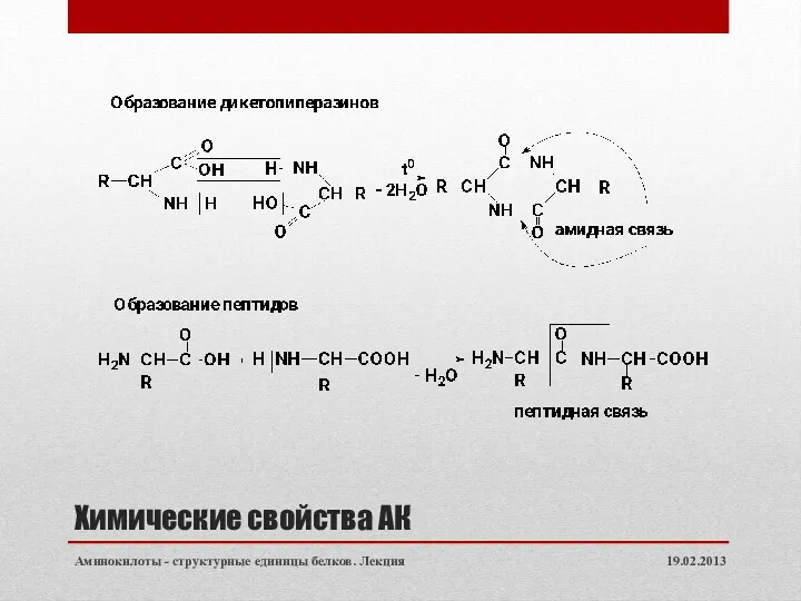 Химические свойства АК 19.02.2013 Аминокилоты - структурные единицы белков. Лекция