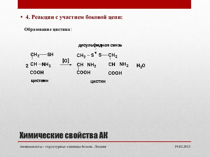 Химические свойства АК 4. Реакции с участием боковой цепи: 19.02.2013