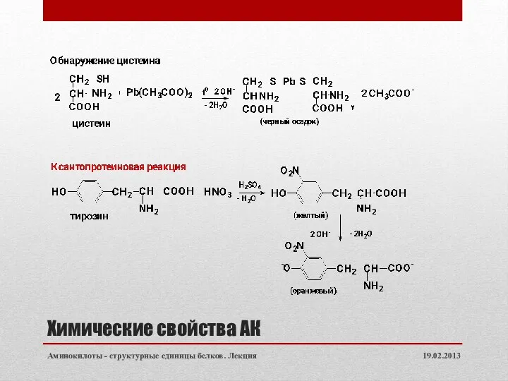 Химические свойства АК 19.02.2013 Аминокилоты - структурные единицы белков. Лекция