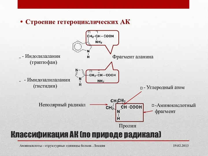 Классификация АК (по природе радикала) Строение гетероциклических АК 19.02.2013 Аминокилоты