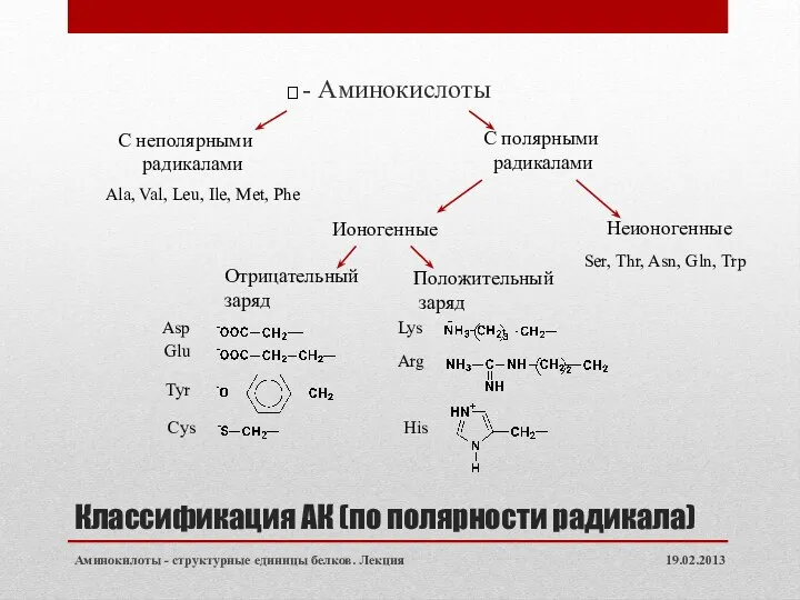 Классификация АК (по полярности радикала) - Аминокислоты 19.02.2013 Аминокилоты -