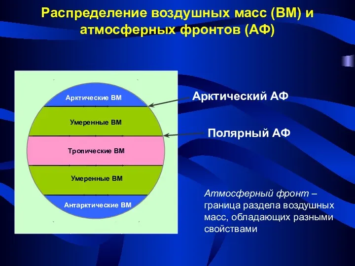 Арктические ВМ Умеренные ВМ Умеренные ВМ Антарктические ВМ Тропические ВМ