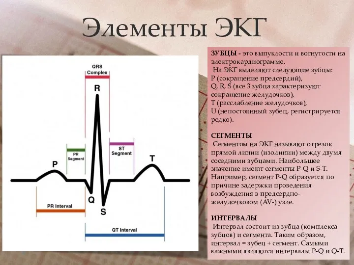 Элементы ЭКГ ЗУБЦЫ - это выпуклости и вогнутости на электрокардиограмме. На ЭКГ выделяют