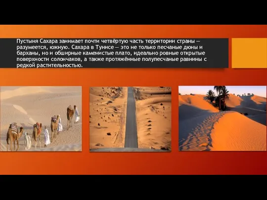 Пустыня Сахара занимает почти четвёртую часть территории страны — разумеется,