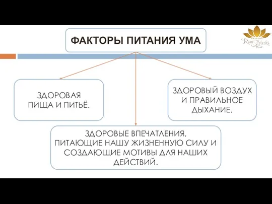 ФАКТОРЫ ПИТАНИЯ УМА ЗДОРОВАЯ ПИЩА И ПИТЬЁ. ЗДОРОВЫЙ ВОЗДУХ И