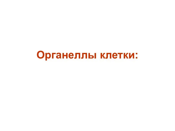 Органеллы клетки: