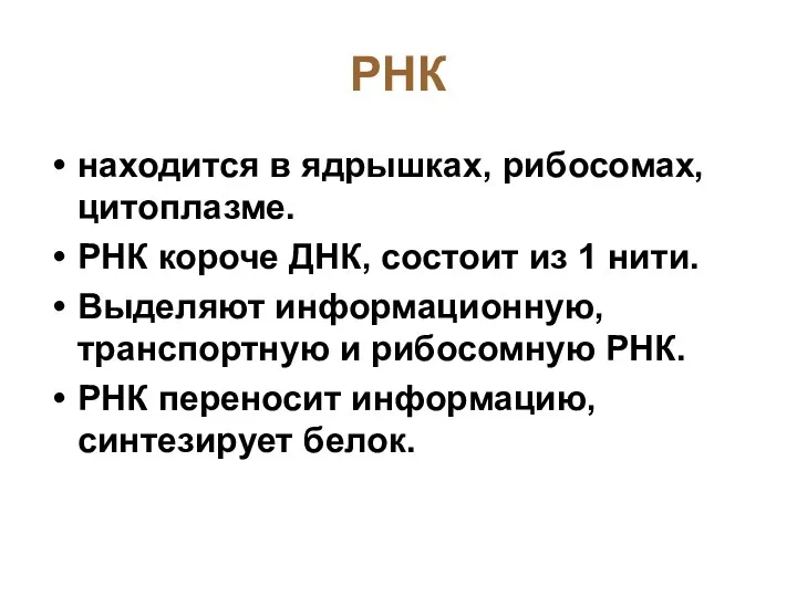 РНК находится в ядрышках, рибосомах, цитоплазме. РНК короче ДНК, состоит