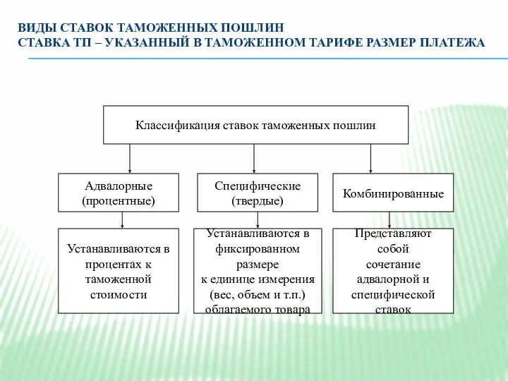 ВИДЫ СТАВОК ТАМОЖЕННЫХ ПОШЛИН СТАВКА ТП – УКАЗАННЫЙ В ТАМОЖЕННОМ ТАРИФЕ РАЗМЕР ПЛАТЕЖА