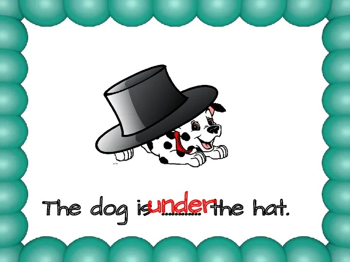 The dog is ………… the hat. under