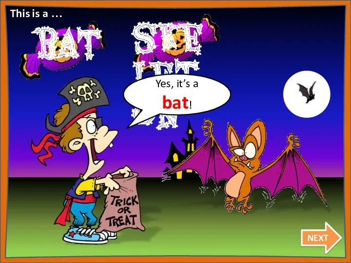 Yes, it’s a bat! NEXT This is a …