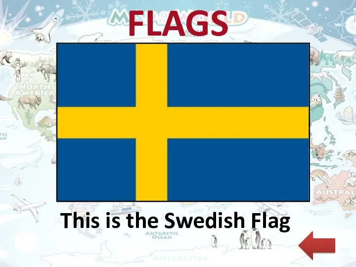 FLAGS This is the Swedish Flag