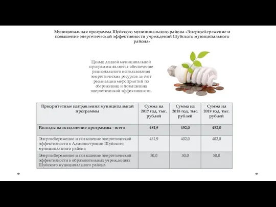 Муниципальная программа Шуйского муниципального района «Энергосбережение и повышение энергетической эффективности