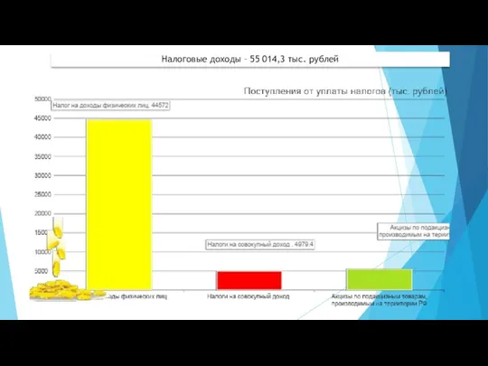 Налоговые доходы – 55 014,3 тыс. рублей