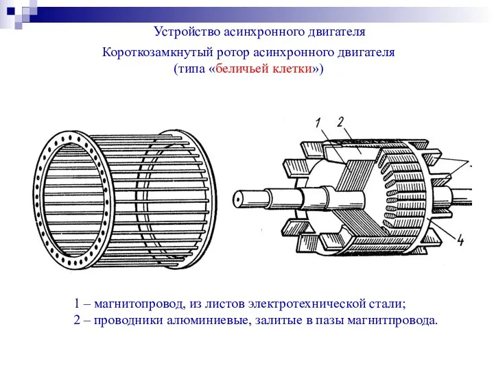 Короткозамкнутый ротор асинхронного двигателя (типа «беличьей клетки») Устройство асинхронного двигателя