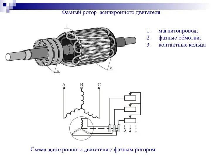 Фазный ротор асинхронного двигателя магнитопровод; фазные обмотки; контактные кольца Схема асинхронного двигателя с фазным ротором