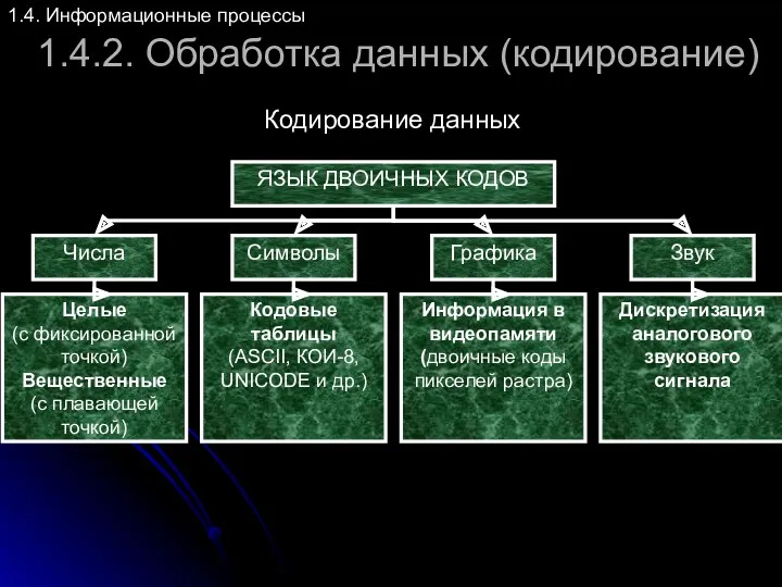 1.4.2. Обработка данных (кодирование) 1.4. Информационные процессы Кодирование данных