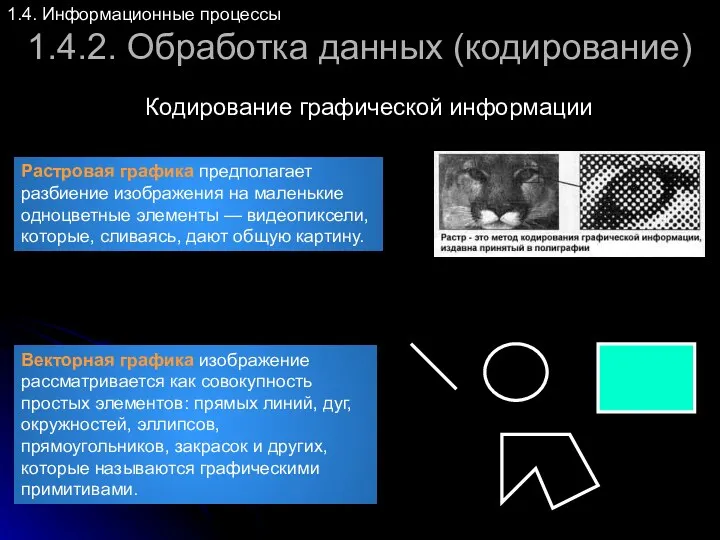 1.4.2. Обработка данных (кодирование) Кодирование графической информации 1.4. Информационные процессы