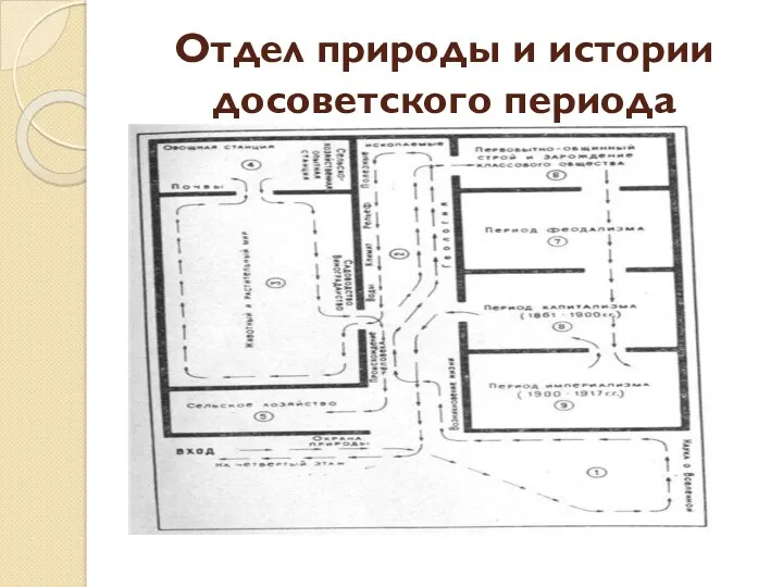 Отдел природы и истории досоветского периода