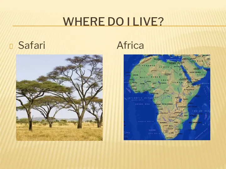 WHERE DO I LIVE? Safari Africa