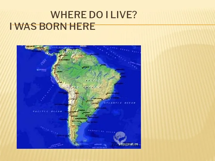 WHERE DO I LIVE? I WAS BORN HERE