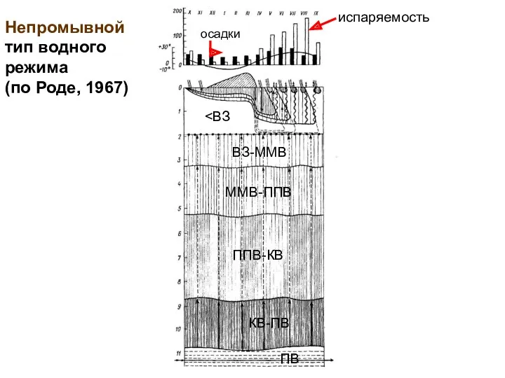 ПВ КВ-ПВ ППВ-КВ ММВ-ППВ ВЗ-ММВ испаряемость осадки Непромывной тип водного режима (по Роде, 1967)