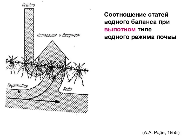 Соотношение статей водного баланса при выпотном типе водного режима почвы (А.А. Роде, 1955)