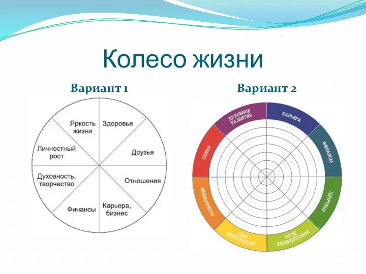 Колесо жизни Вариант 1 Вариант 2