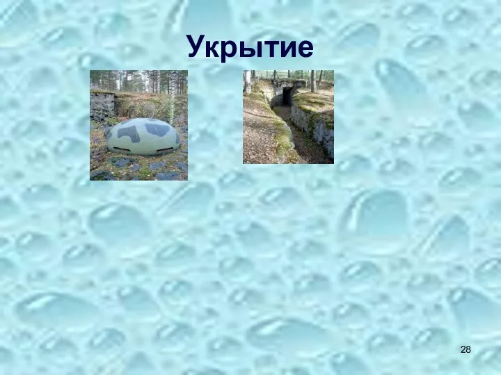 Укрытие