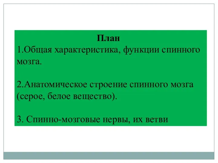 План 1.Общая характеристика, функции спинного мозга. 2.Анатомическое строение спинного мозга